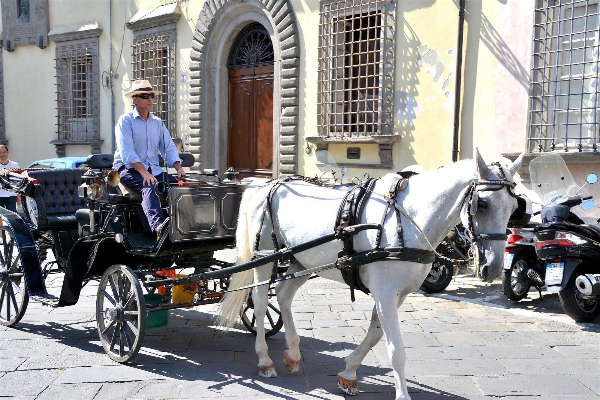 Dimora Dei Guelfi Luxury Rooms Lucca Kültér fotó